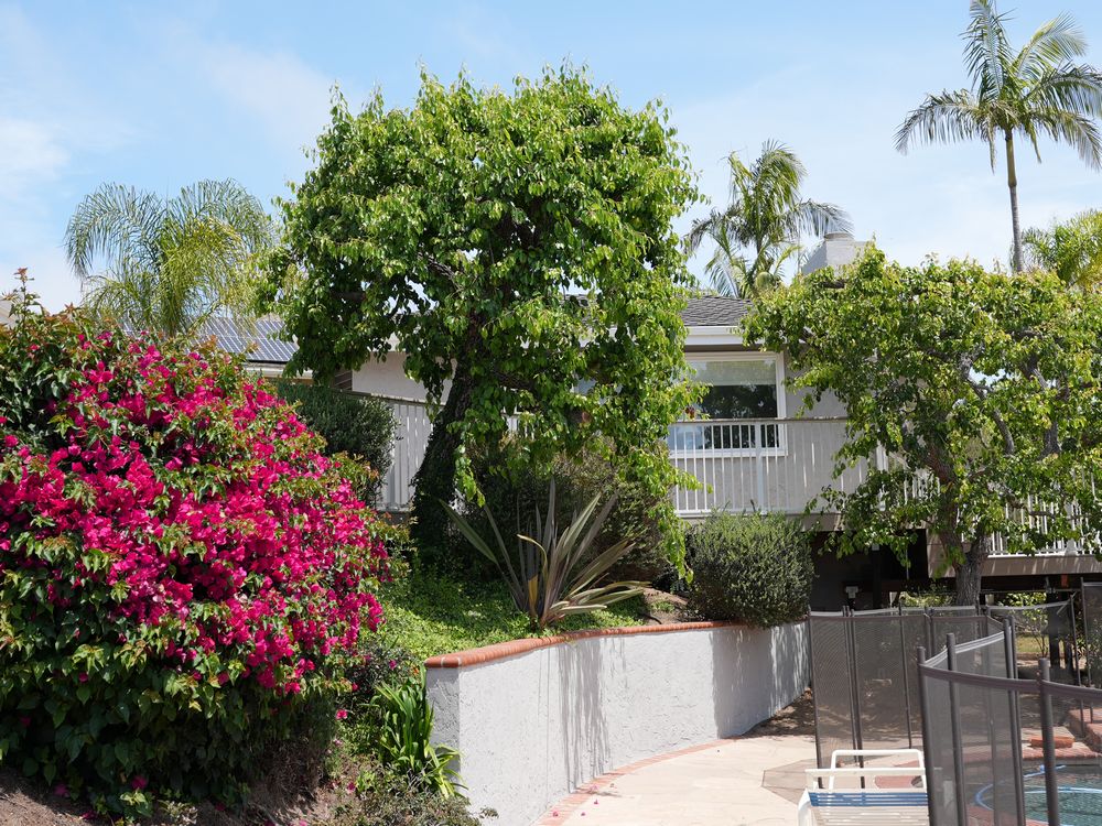 Custom Multi-Level TimberTech Deck Installation in La Jolla, CA (15)